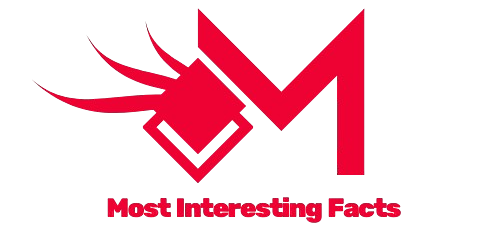 black gold simple elegant initial m studio logo removebg preview